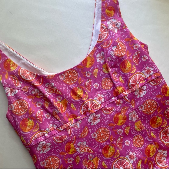 Kaeli Smith Pink Citrus Print Sleeveless Dress Size 6 - Picture 1 of 9
